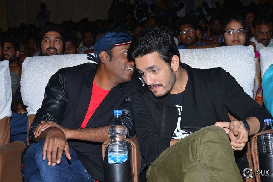 Akhil-Movie-Platinum-Disc-Function